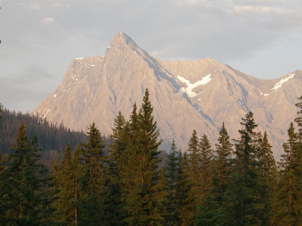 Yoho Chalets Βίλα Golden Εξωτερικό φωτογραφία