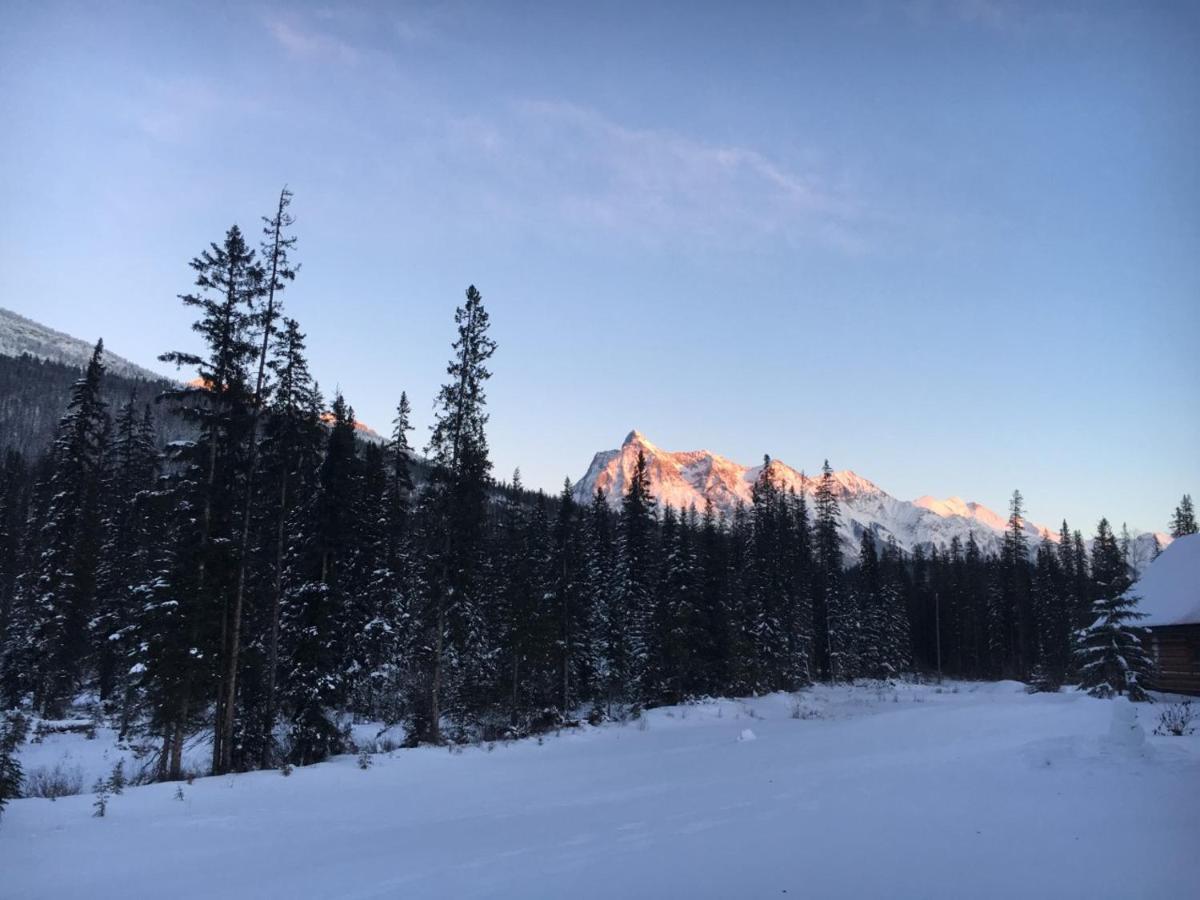 Yoho Chalets Βίλα Golden Εξωτερικό φωτογραφία
